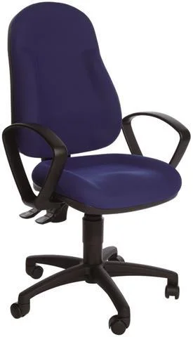 TopStar Bürostuhl Wellpoint 10 P  8050 - Ansicht 2