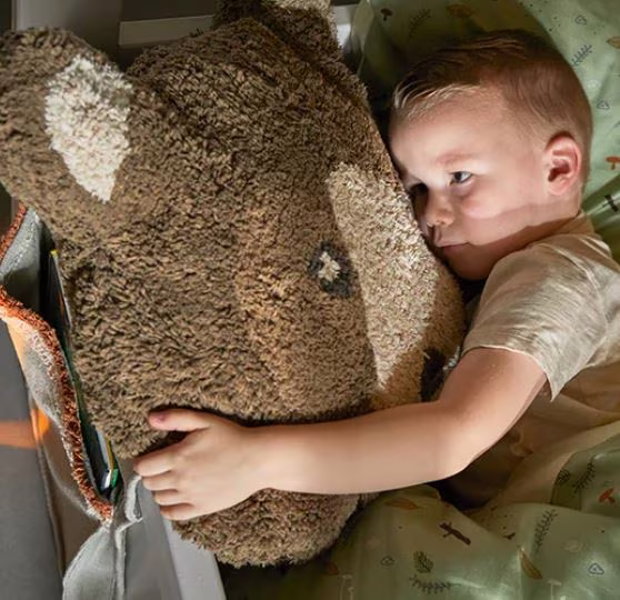 LIFETIME kidsrooms Fromkissen Bär 7757 - Ansicht 4