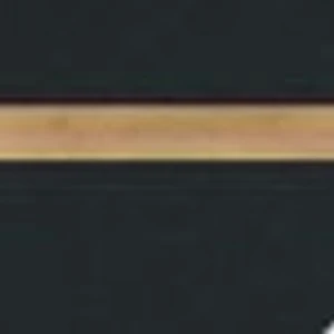1518 Schwarz Matt mit holzfarbener Einlage