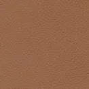Leder 22 - Cognac