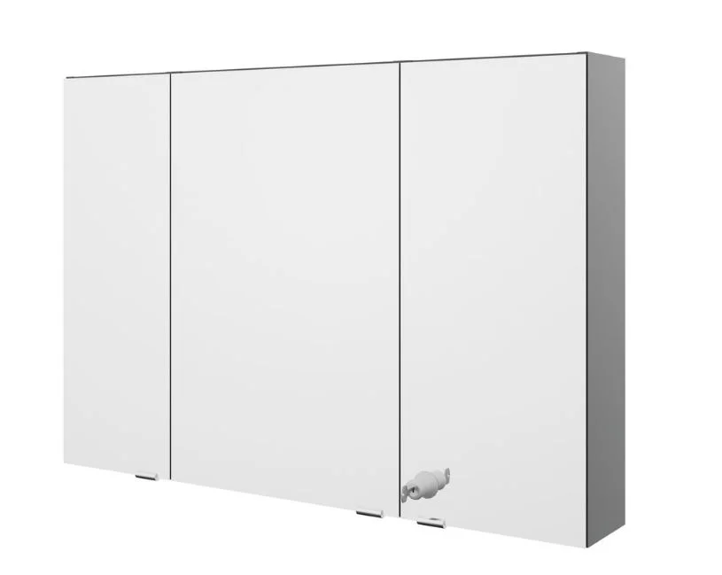 Pelipal Vario Select Spiegelschrank SKNEKA110 R/L - 100 cm breit