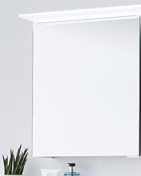 ASP416001 Spiegelschrank 60 cm