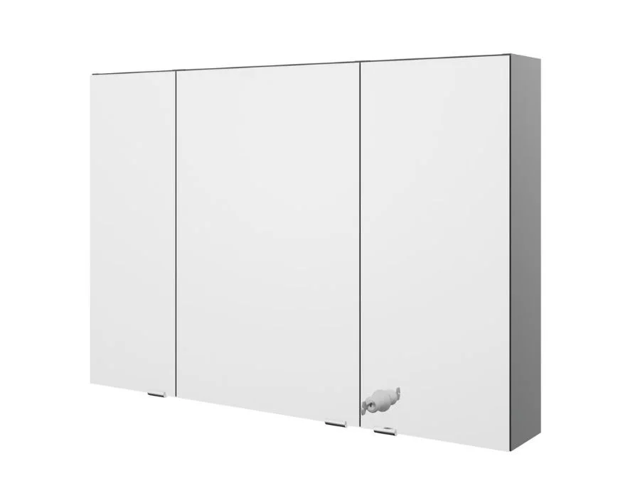 Pelipal Vario Select Spiegelschrank SKNEKS110 L/R - 100 cm breit