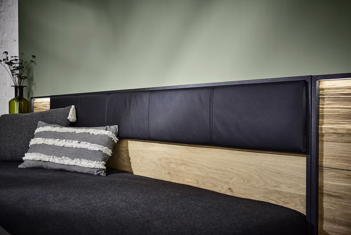 Thielemeyer Steel Komfortbett / Kopfteil mit Kunstleder
