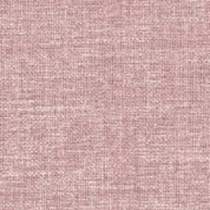 Capo rose 762 (PG 3)