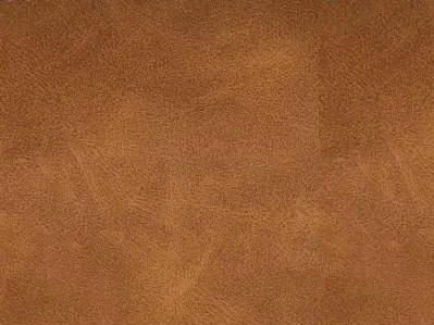 Skin Cognac 28