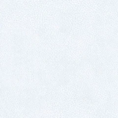 323-Kul white