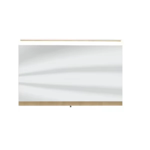 Flächenspiegel 123,4 cm SET411202