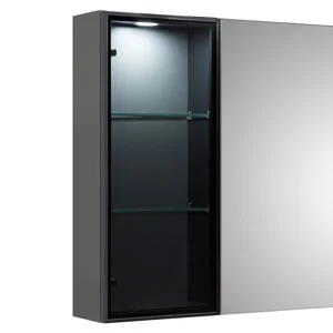 Vitrine mit schwarzer Rauchglastür SDNE00915