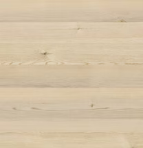 452 Polar Pinie quer Nachbildung