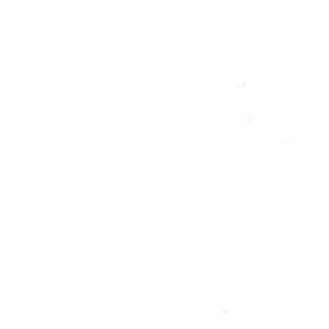 Fichte Antikweiß lackiert