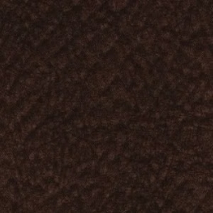 Buffalo espresso 722 (PG 3)