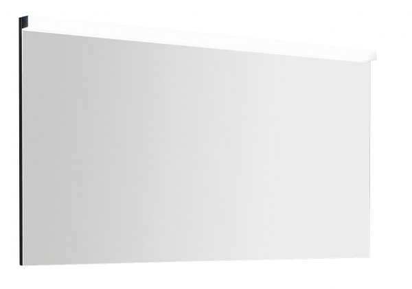 Puris Unique Flächenspiegel 120 cm
